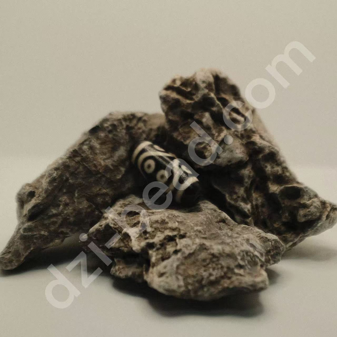 Minisize Eight-Eyed Dzi Bead | Noble Authority