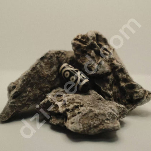 Minisize Eight-Eyed Dzi Bead | Noble Authority